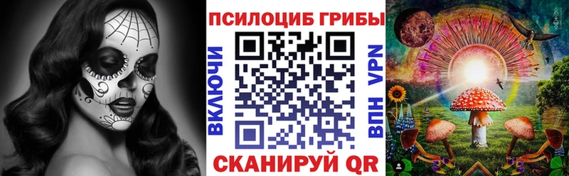 Псилоцибиновые грибы Magic Shrooms  Богучар 